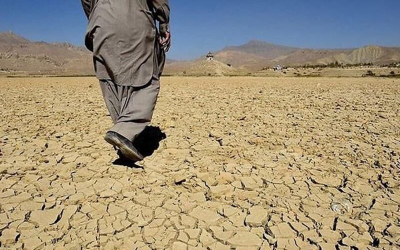 Cholistan groundwater is running short, and most of it is salty