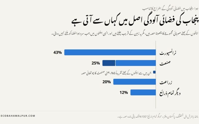 پنجاب میں فضائی آلودگی کے ذرائع کا گراف: ٹرانسپورٹ 43 فیصد، صنعت 25 فیصد، زراعت 20 فیصد